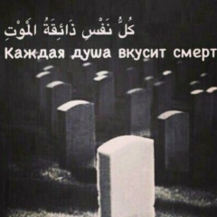 Мухаммед Салиев, Москва
