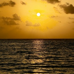 Олеся Сидоркина, Санкт-Петербург