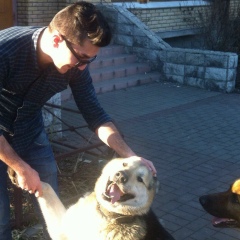 Ибрагим Мехдиев, 20.07.1994, Баку