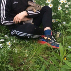 Ed Dizik, 07.08.1996, Москва