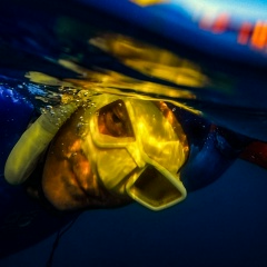 Павел Терехов, 22.01, Севастополь