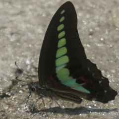 Татьяна Васькина, 29.01, Москва