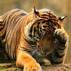 Валодя Петросов, 24.04, Москва