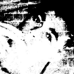 Алексей Кравченко