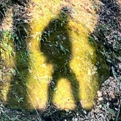 Илья Галинский, 06.02.1984, Москва