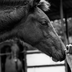 Антон Сергеев, 28.03, Челябинск