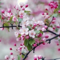 Анастасия Гришко, 29.03, Москва