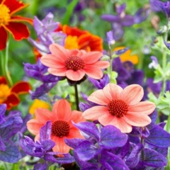 Лаура Кожабекова, 21.04, Алматы