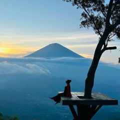 Ирада Рива, Москва