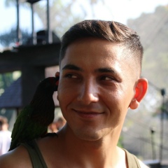 Тимур Куртаев, 08.01