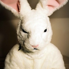 Андрей Воробей, 13.05.1989, Екатеринбург