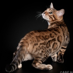 Оксана Аникеева, 28.02, Ярославль