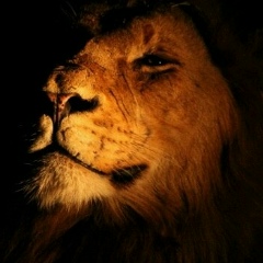 Саша Любарець, 23.10.1987, Киев