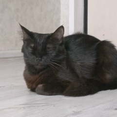 Лизочка =), Владивосток