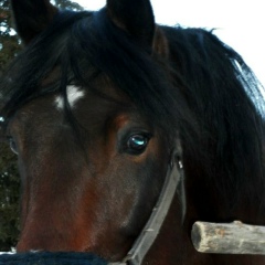 Катя Чащина, 28.08, Москва