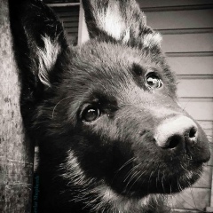 Владимир Ходыкин, 25.02.1984, Санкт-Петербург