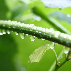 Дима Лоскутов, 12.02.1985, Днепр (Днепропетровск)
