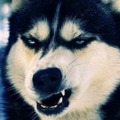 Андрей Головченко, 09.02.1998, Державинск