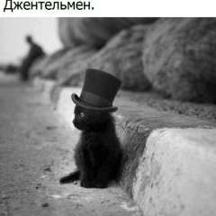 Денис Коротаев, Нижний Новгород
