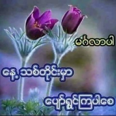 Maung San, 10.05.1996