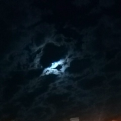 Анастасия Пирогова, 07.05, Омск