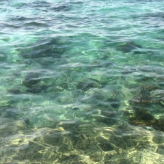 Елена Мешкова, 05.03.1914, Москва