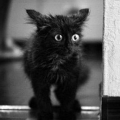 Lain Iwakura, 01.08, Санкт-Петербург