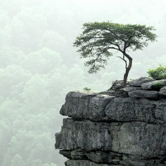 Сергей Звягинцев, 03.07.1989, Москва