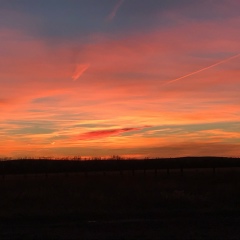 Oren Zharkyn, 12.07.1990, Астана