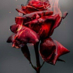 Елизавета К, 07.05, Харьков