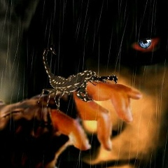 Мотя Пахомова, 05.05.1995, Симферополь