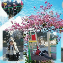 Ninuca Cibadze, 27.06, Тбилиси