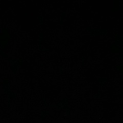 Сергей Мальгин, Санкт-Петербург