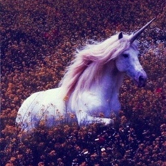 Jika Usubalieva, 01.03.2000, Бишкек