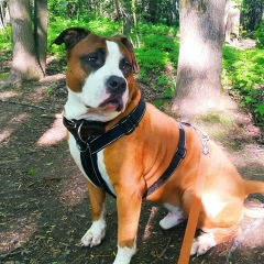 Лилия Королева, 06.10, Москва