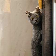 Дмитрий Ломоносов, 08.02.1990, Москва