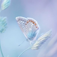 Наталья Поварова, 10.06, Астана