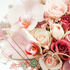 Валерия Аршакян, Санкт-Петербург