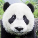 София Стельмахова, 18.05, Ростов-на-Дону