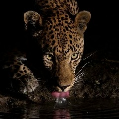 Вика Виктория, 13.12, Омск