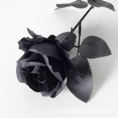 Денис Селиванов, 03.03, Москва