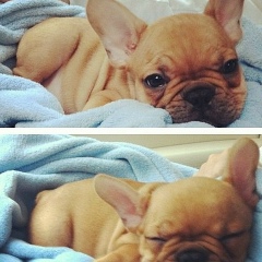 Vik-Ki Eligant, 07.04.1987, Москва