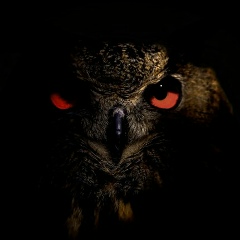 Илья Казачок, Москва