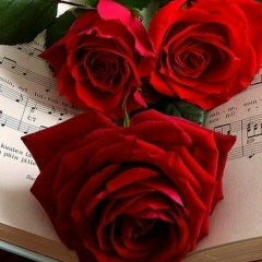 Айнур Сейтжан, 10.04, Алматы