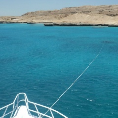 Ольга Алексеевна, 10.06, Москва