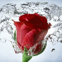 Ярослав Ляхвацький, 11.05