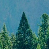 Nazar Sydorov, 26.06, Харьков