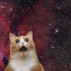 Ксения Золотухина, 01.02.1988, Москва