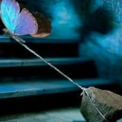 Zezag Davtaeva, 31.08.1991, Грозный