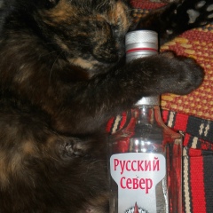 Анатолий Худяков, 09.04, Кировград